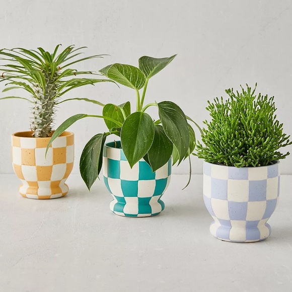 Urban Outfitters Other - NWT Urban Outfitters Frankie Plant Pot